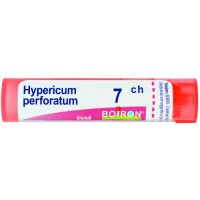 HYPERICUM PERF 7CH GR 4G