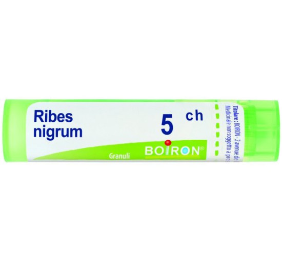 RIBES NIGRUM 5CH GR 4G