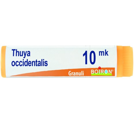 THUYA OCC XMK GL 1G
