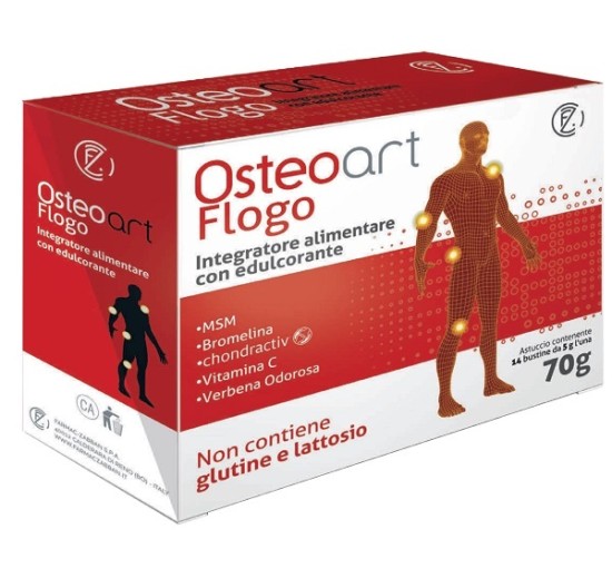 OSTEOART Flogo 14 Bust. OSTEOART Flogo 14 Bust.