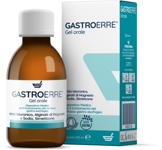 GASTROERRE 210ML