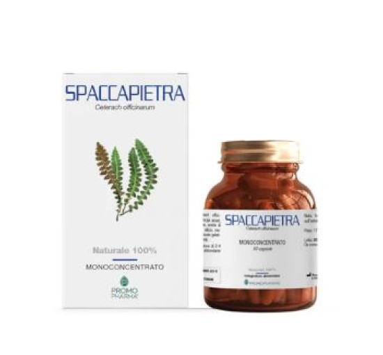 SPACCAPIETRA 50 Cps PRP