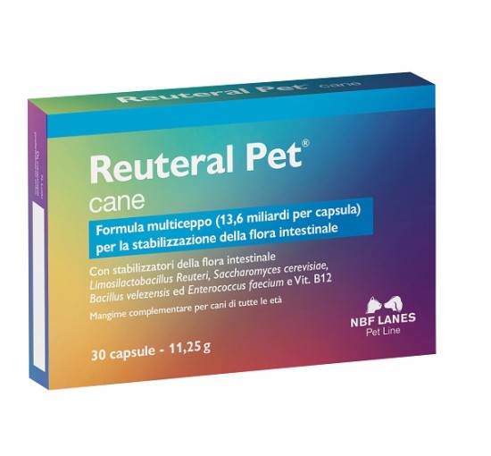 REUTERAL PET CANE 30CPS