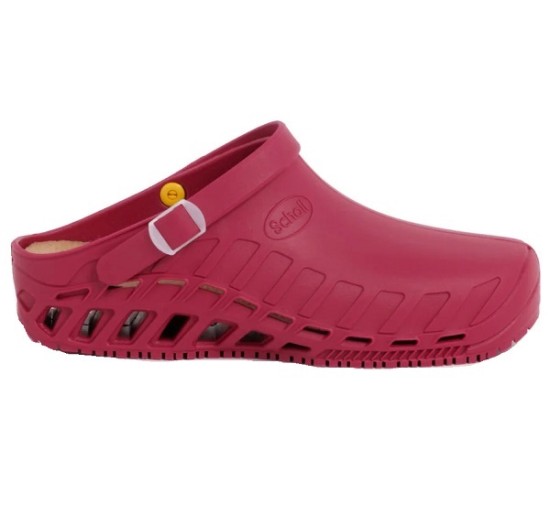 CLOG EVO TPR UNISEX WINE 39/40