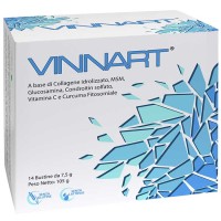 VINNART 14BUST