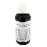 LVS 07N Solidago Virg.Comp.