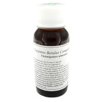 LVS 20N CARPINUS BETULUS COMP