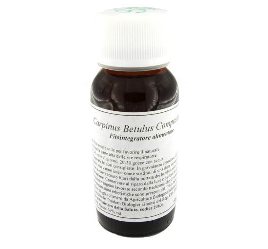 LVS 20N CARPINUS BETULUS COMP