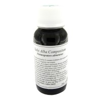 LVS 38N Salix Alba Comp.