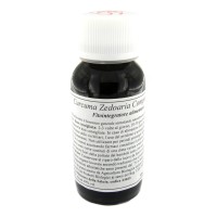 LVS 55S Curcuma Zedoaria Comp.