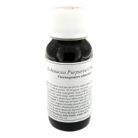 LVS 67S ECHINACEA PURPUREA COM