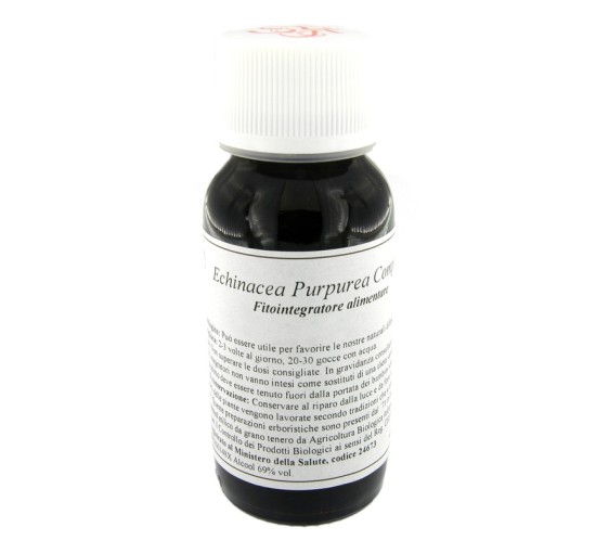 LVS 67S ECHINACEA PURPUREA COM