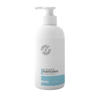 FF DETERGENTE PURIFICANTE250ML