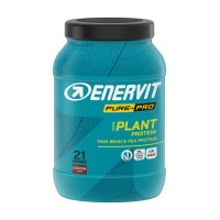 ENERVIT PP PROTEIN PLANT CACAO