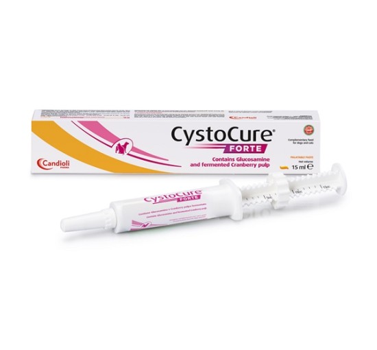 CYSTOCURE FORTE PASTA 15ML