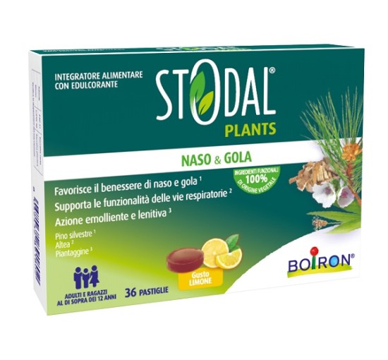 STODAL PLANTS LIMONE 36PAST