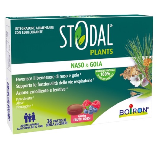 STODAL PLANTS FRUTTI RO 36PAST